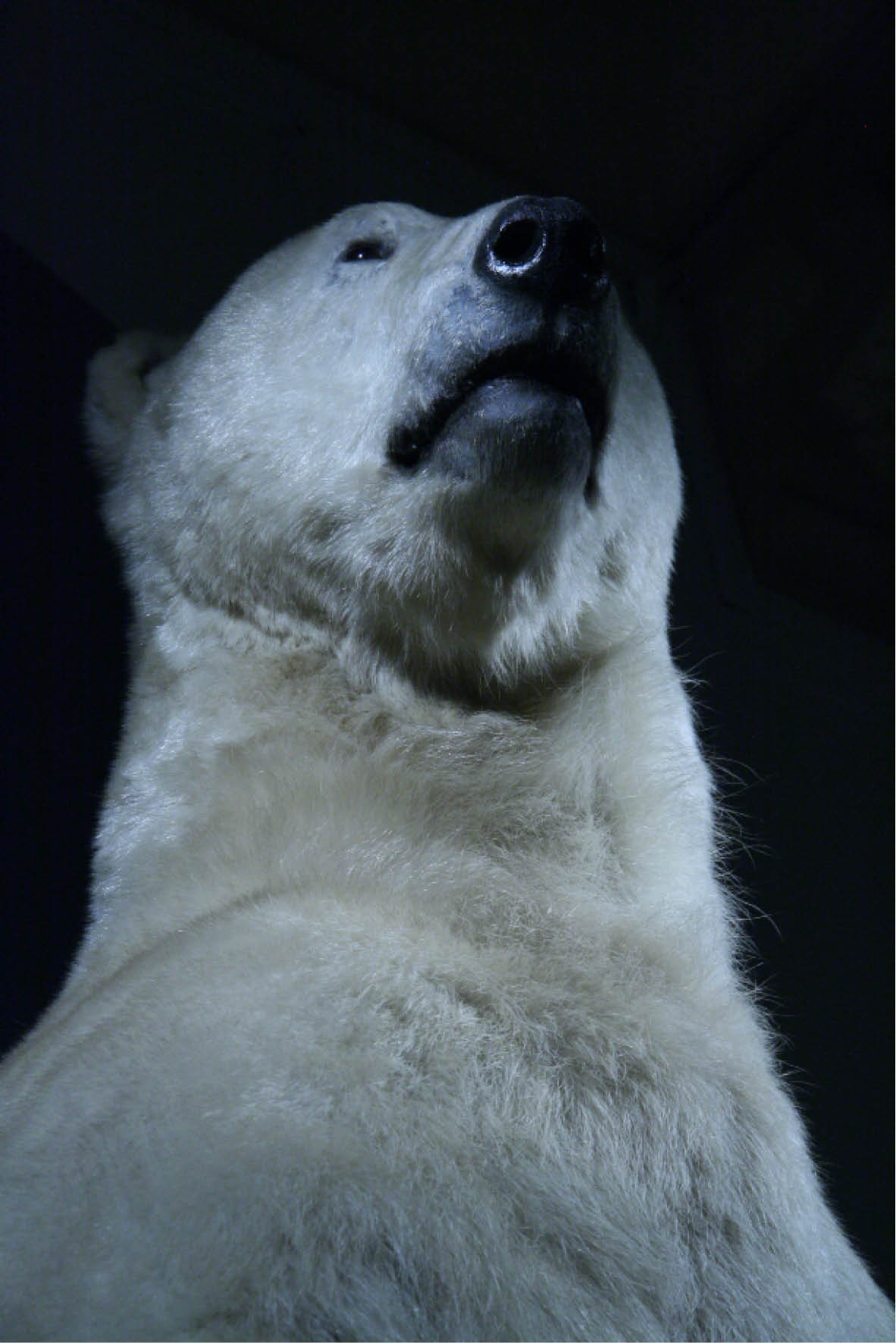 rédaction conception rédaction réalisation photo Céline Plunian