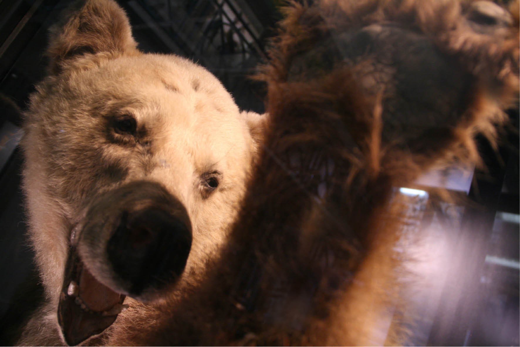 rédaction conception rédaction réalisation photo Céline Plunian