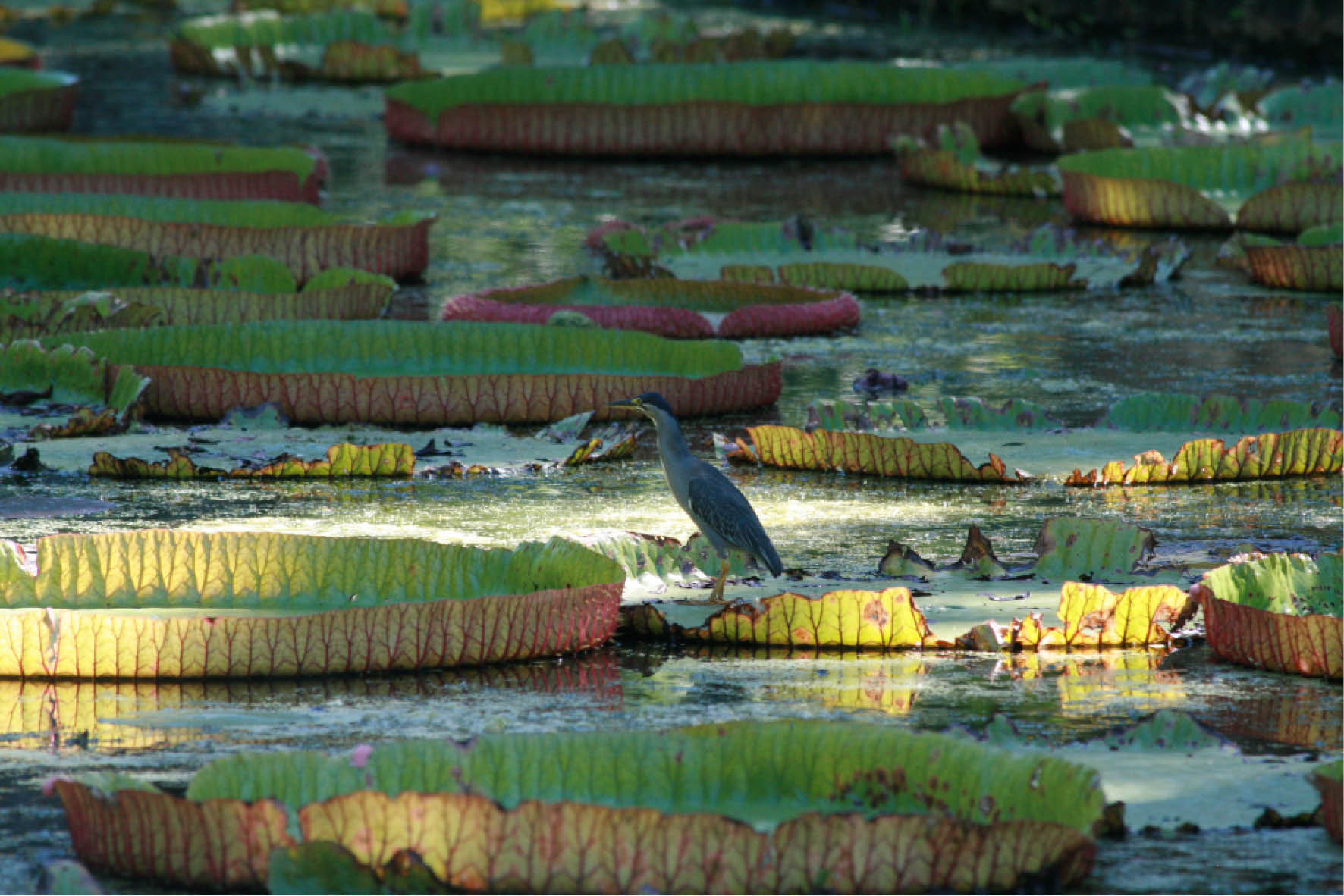 rédaction conception rédaction réalisation photo Céline Plunian