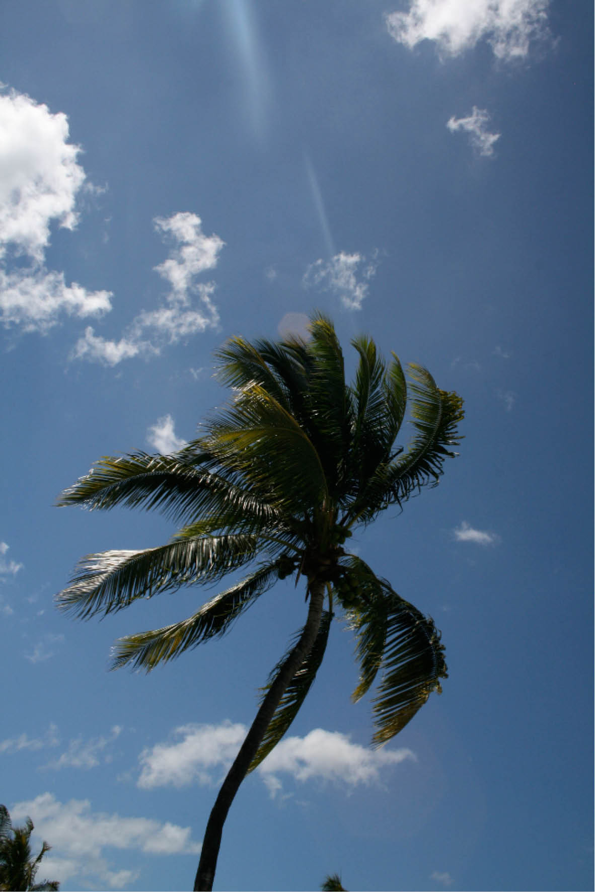 rédaction conception rédaction réalisation photo Céline Plunian