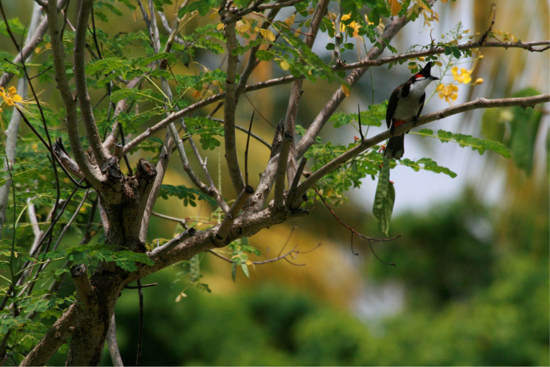rédaction conception rédaction réalisation photo Céline Plunian