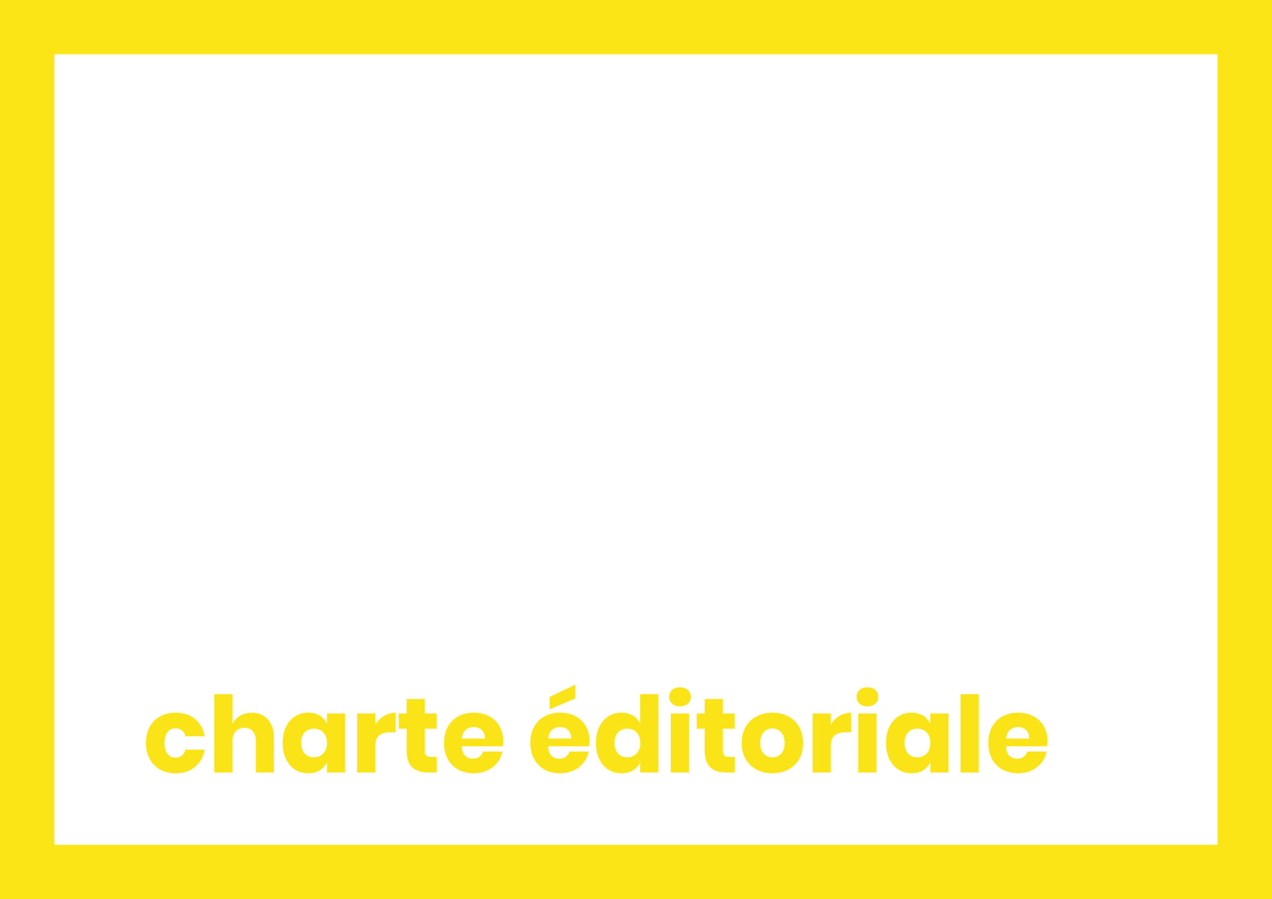 charte éditoriale book le mot magique conception rédaction freelance