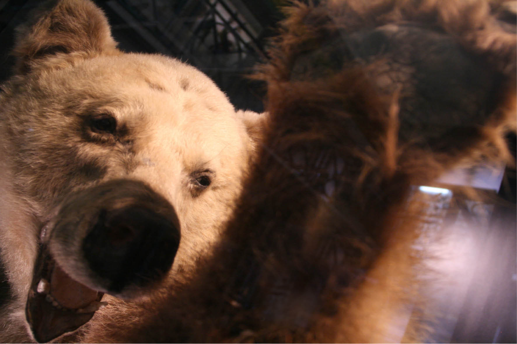 RÉFÉRENCES LE MOT MAGIQUE / photographies portfolio photos reportages