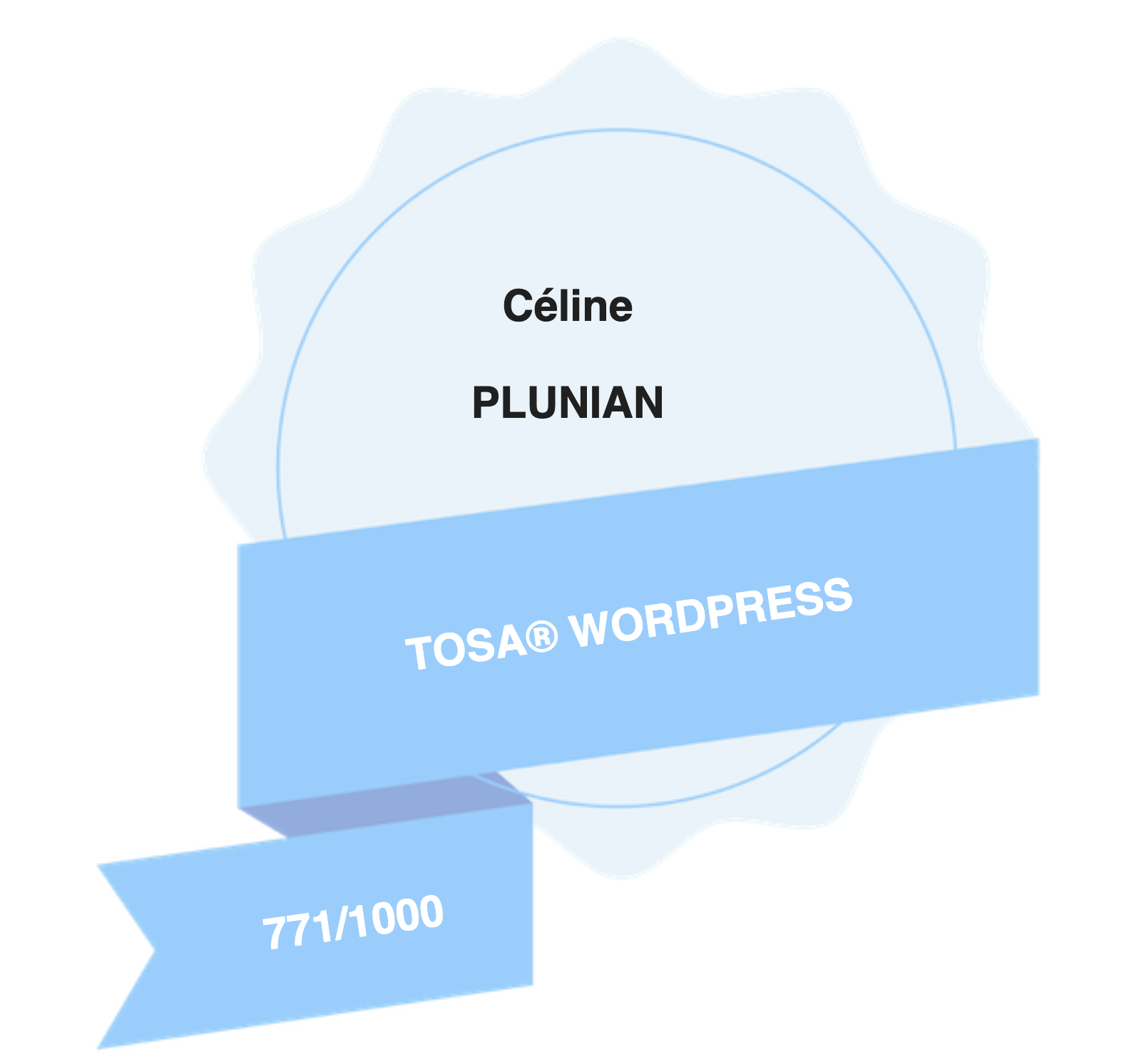 TOSA WordPress Céline Plunian le mot magique